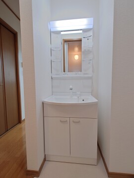 シャンプードレッサー（新品）