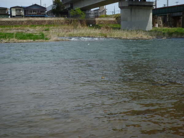 2011年05月の広瀬川その3