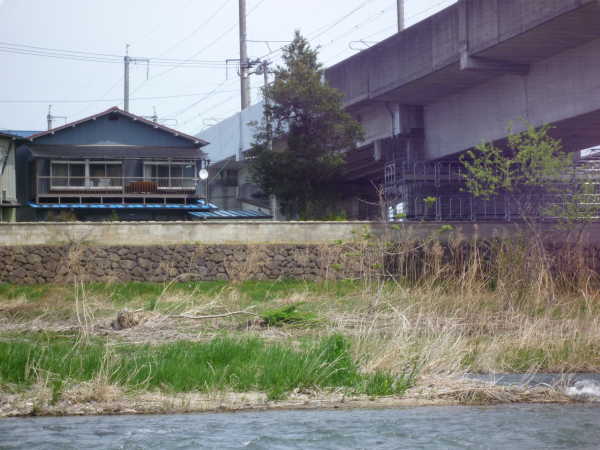 2011年05月の広瀬川その1