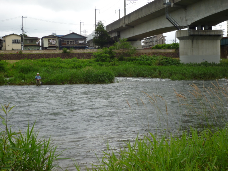 2011年07月の広瀬川その3