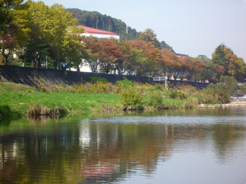 2011年11月の広瀬川その4