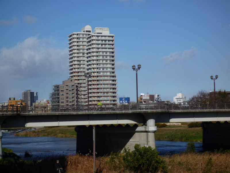 2011年12月の広瀬川その4