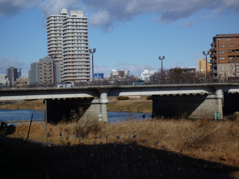 2012年01月の広瀬川その1