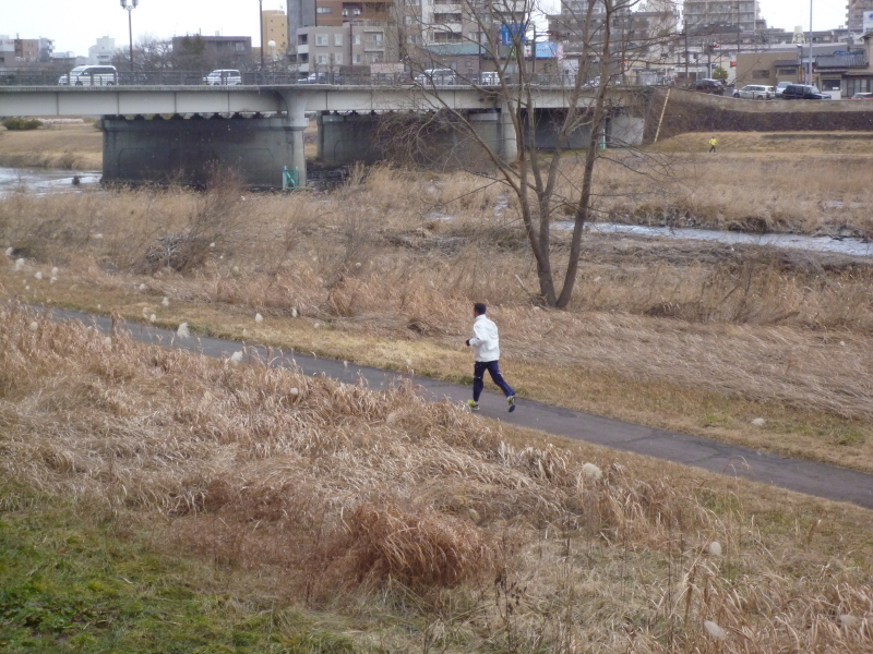 2012年02月の広瀬川その1