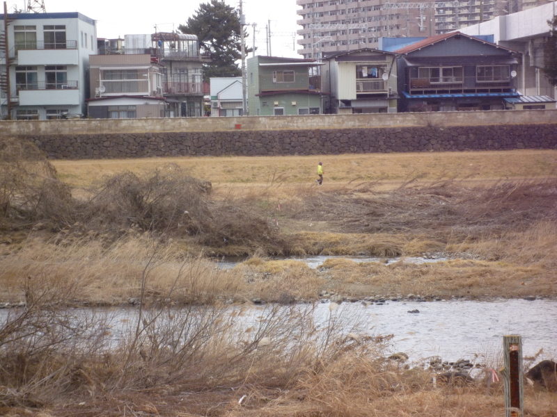 2012年02月の広瀬川その3