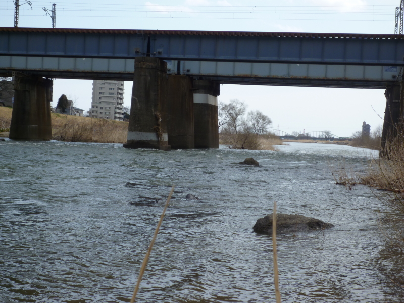 2012年04月の広瀬川その6