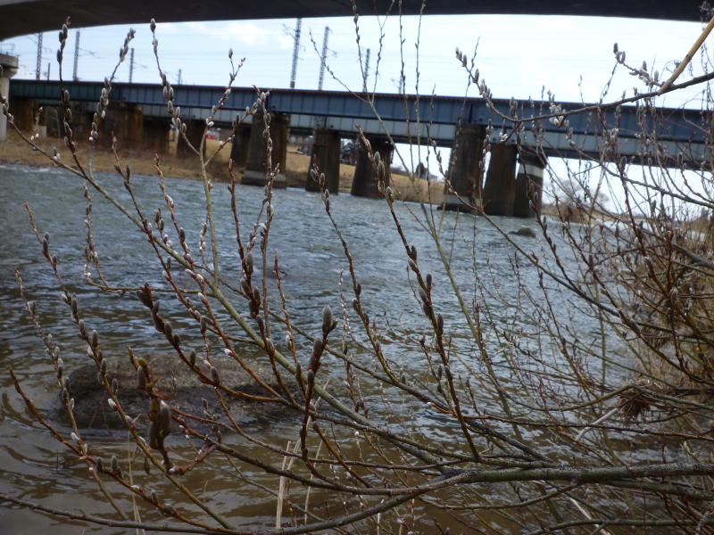 2012年04月の広瀬川その1