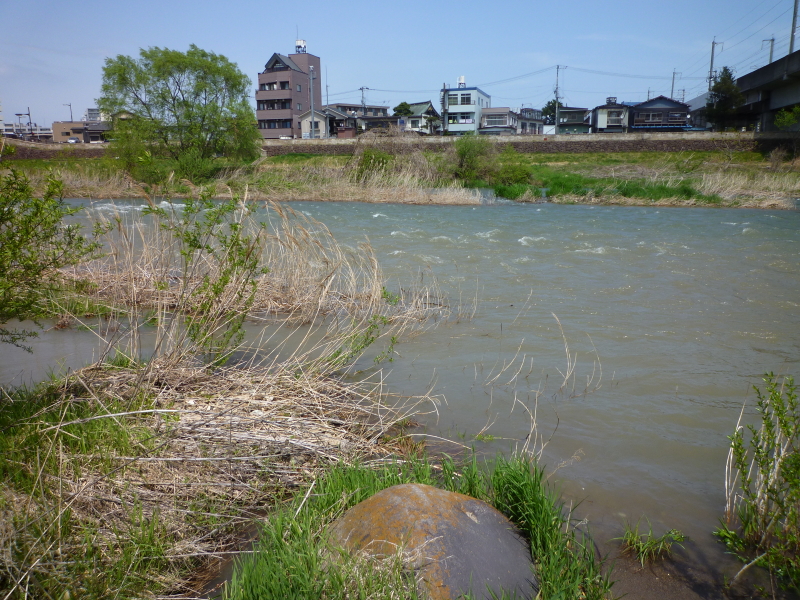 2012年05月の広瀬川その6