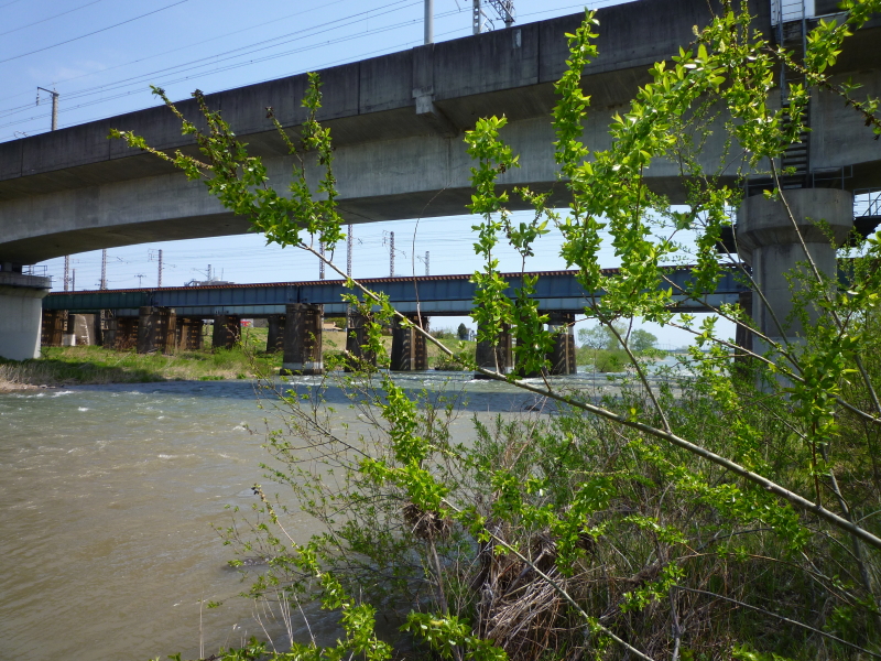 2012年05月の広瀬川その7
