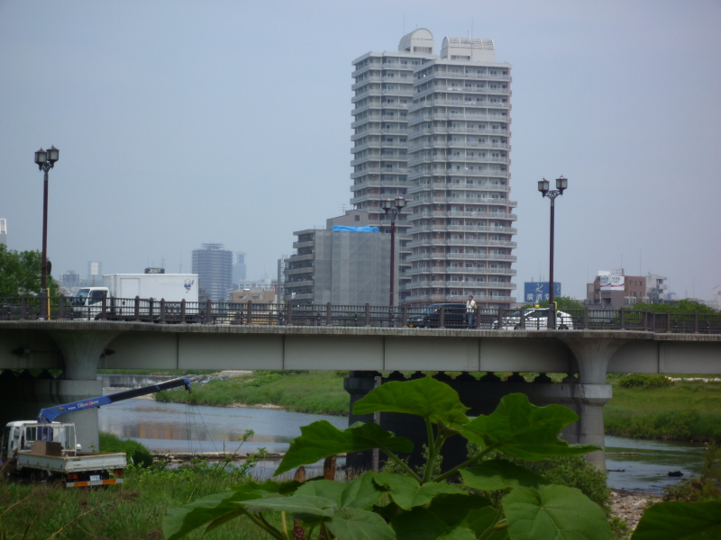 2012年06月の広瀬川その3