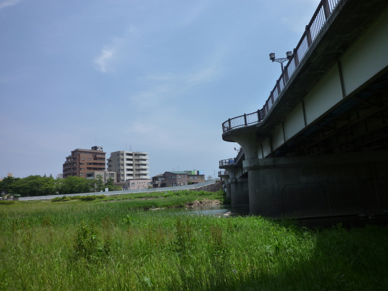 2012年06月の広瀬川その1