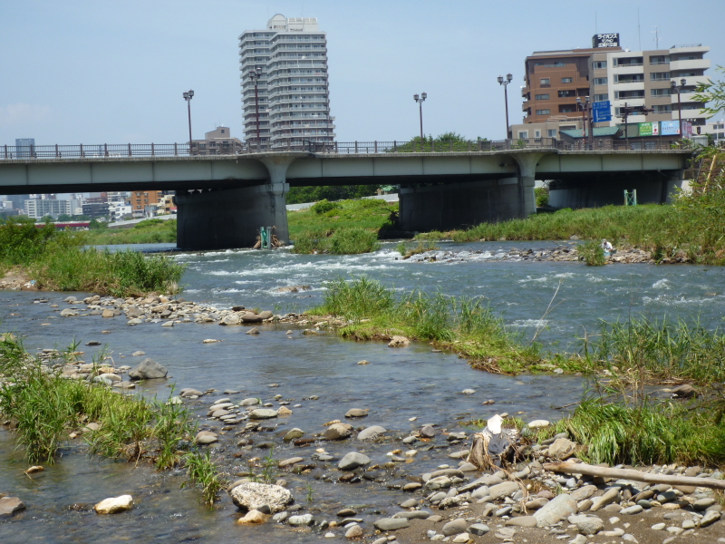 2012年07月の広瀬川その3