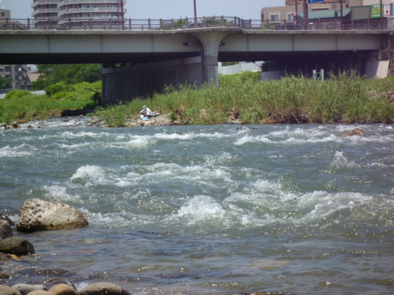 2012年07月の広瀬川その7