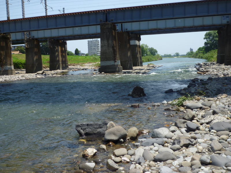2012年07月の広瀬川その1