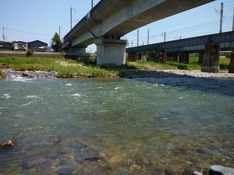 2012年07月の広瀬川その2