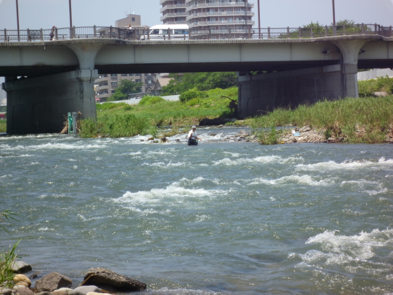 2012年07月の広瀬川その6