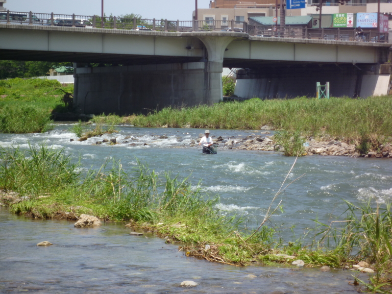 2012年07月の広瀬川その5