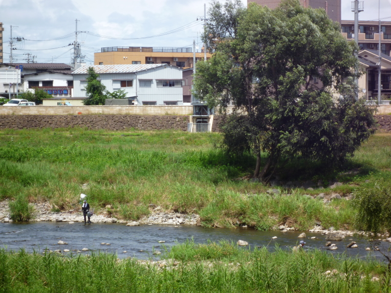 2012年08月の広瀬川その4