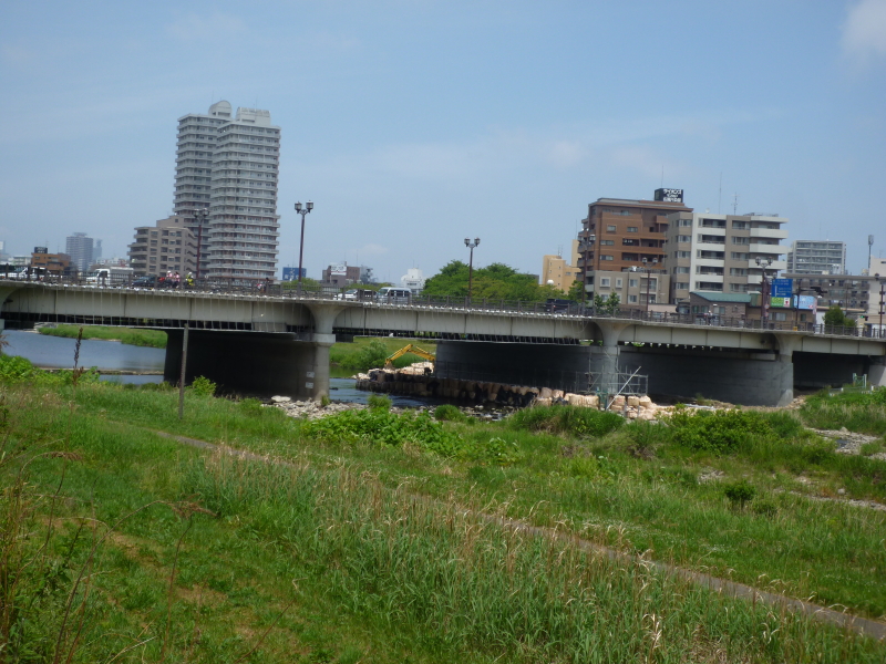 2013年06月の広瀬川その5