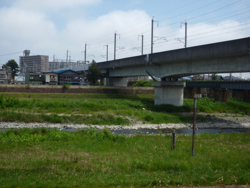 2013年06月の広瀬川その4