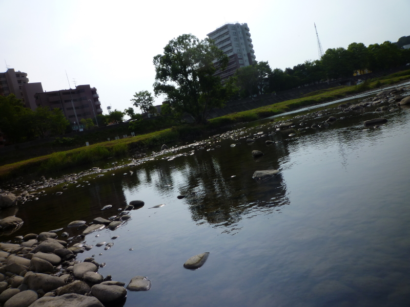 2013年07月の広瀬川その3
