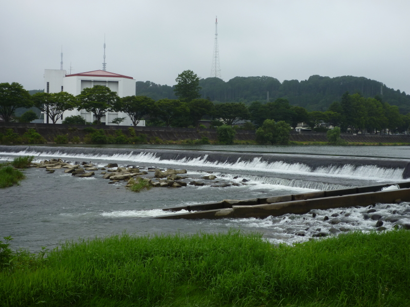 2013年08月の広瀬川その3