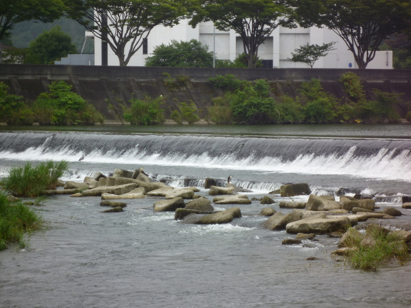 2013年08月の広瀬川その2