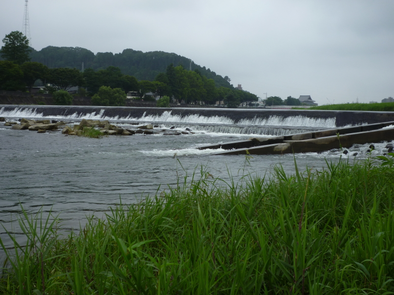 2013年08月の広瀬川その5