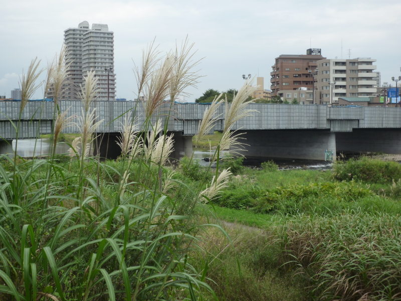 2013年09月の広瀬川その1