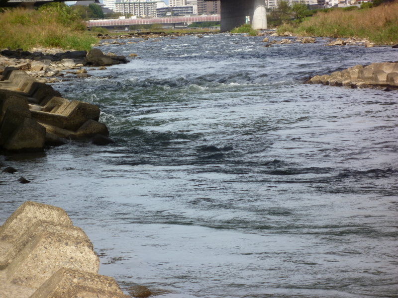 2013年10月の広瀬川その2