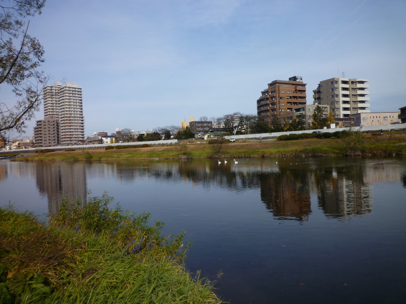 2013年12月の広瀬川その2