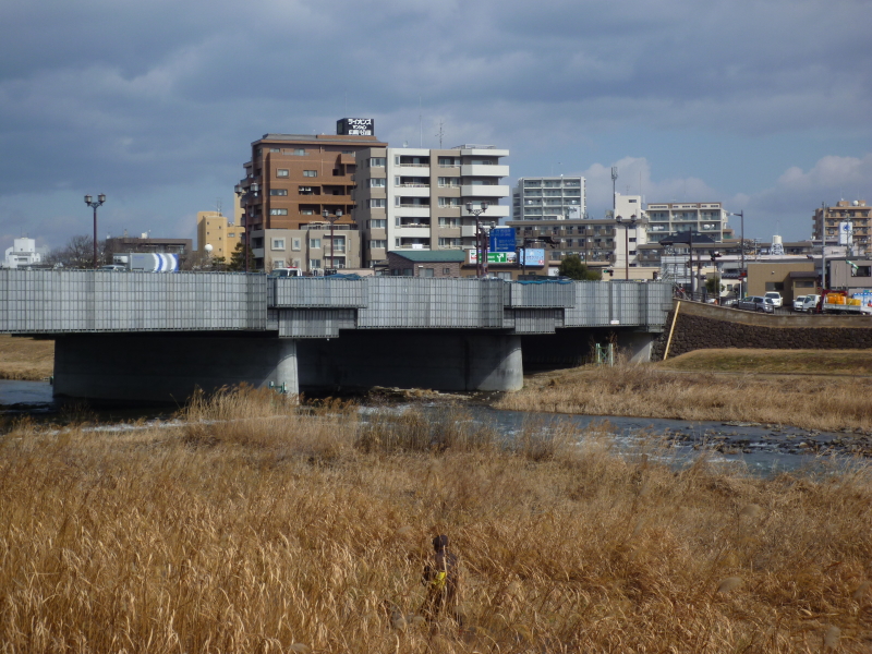 2014年03月の広瀬川その3