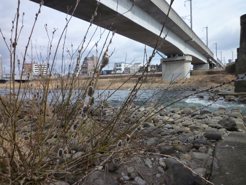 2014年03月の広瀬川その2