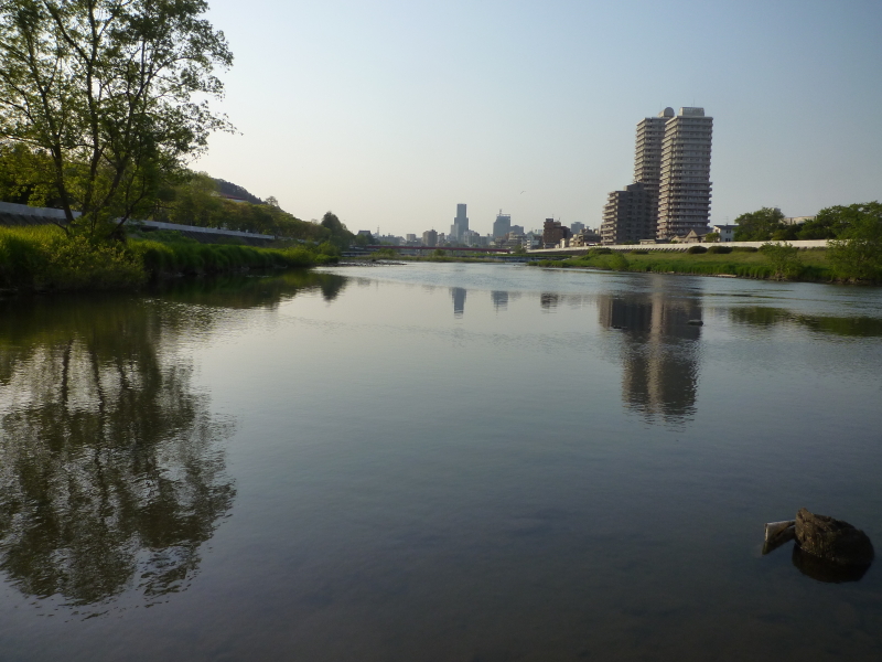 2014年05月の広瀬川その1