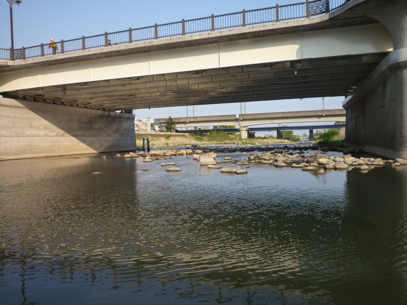 2014年05月の広瀬川その3