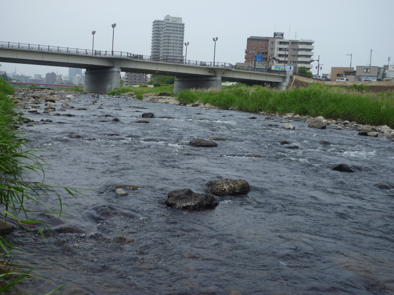 2014年06月の広瀬川その1