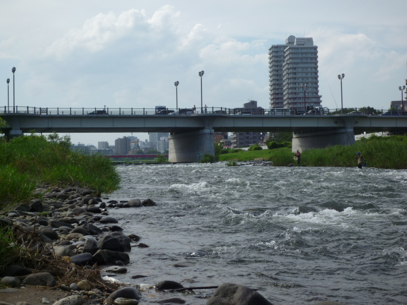 2014年07月の広瀬川その2