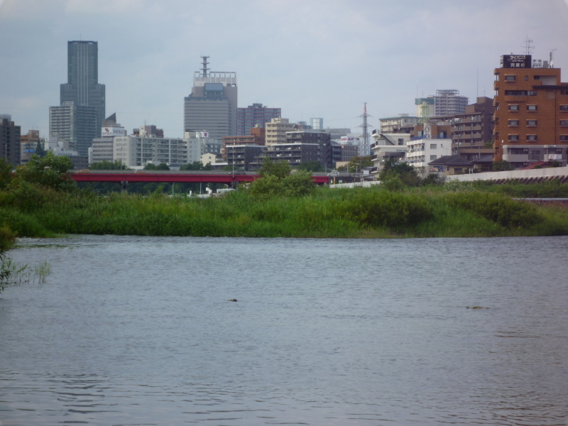 2014年09月の広瀬川その6