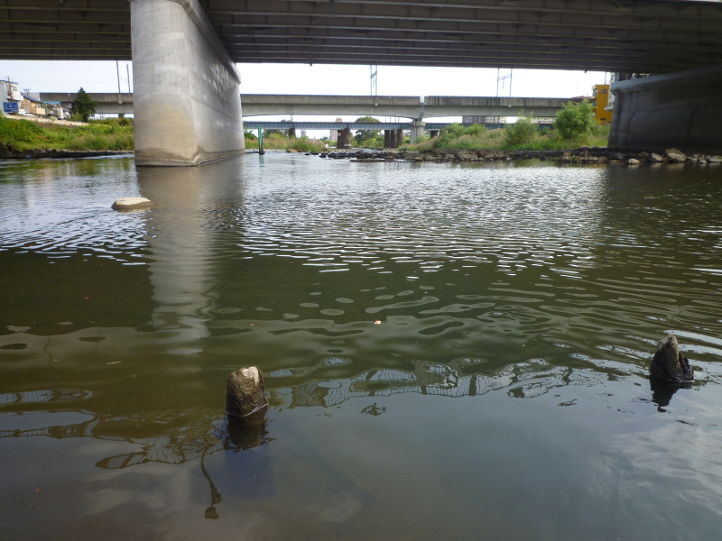 2014年10月の広瀬川その3