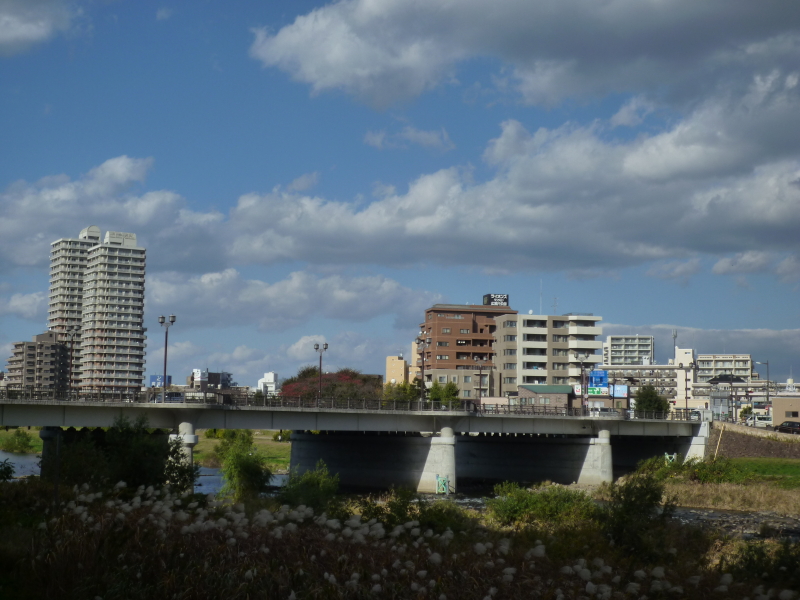 2014年11月の広瀬川その1