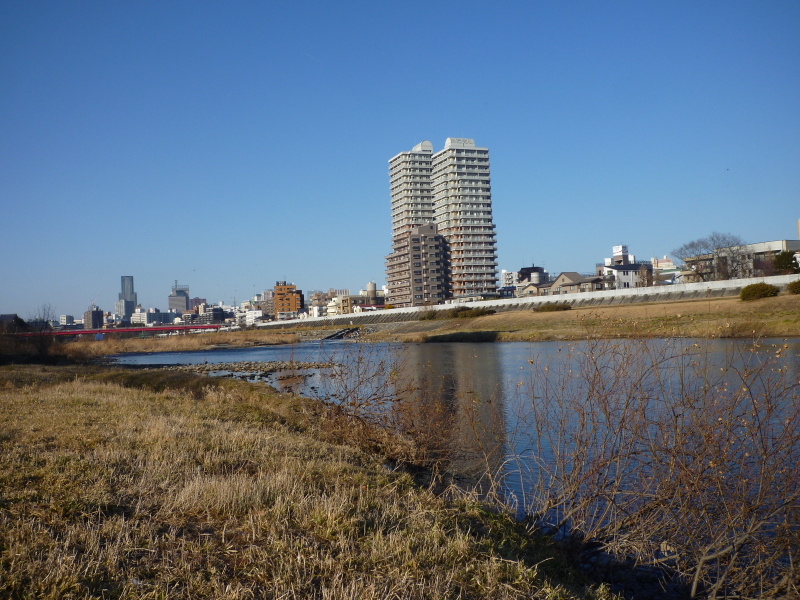 2015年01月の広瀬川その1