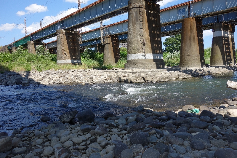 2015年06月の広瀬川その3