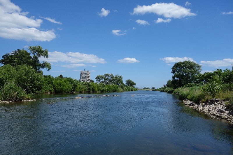 2015年06月の広瀬川その1