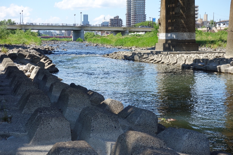 2015年06月の広瀬川その2