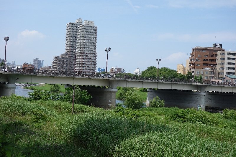 2015年07月の広瀬川その1