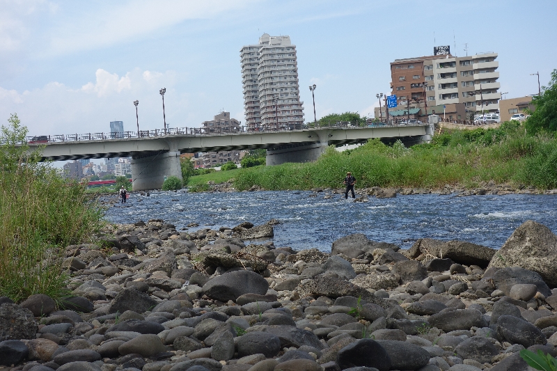 2015年07月の広瀬川その2