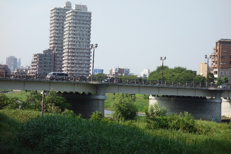 2015年08月の広瀬川その3