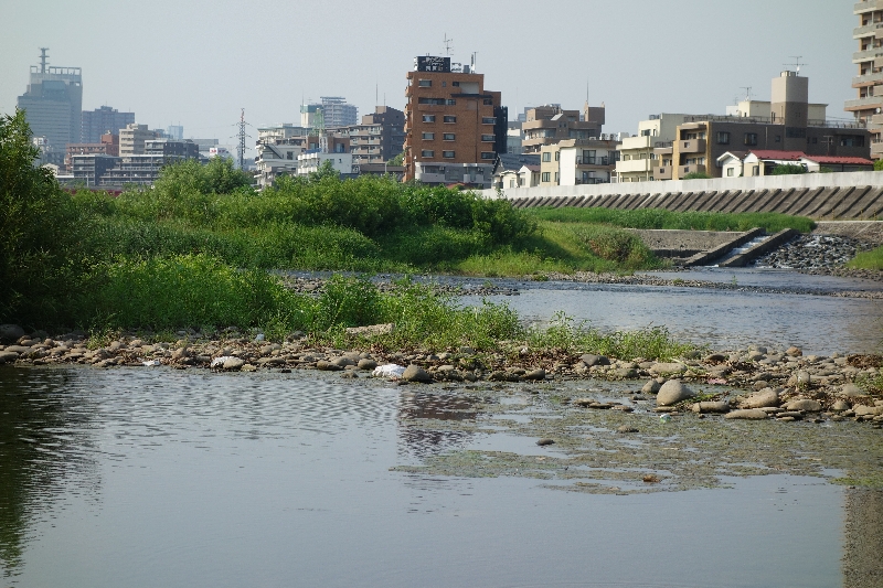 2015年08月の広瀬川その1