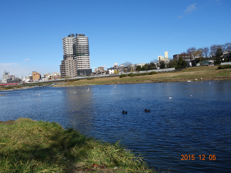 2015年12月の広瀬川その2