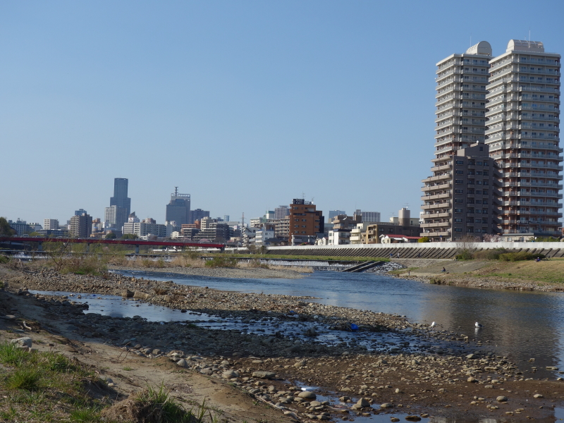 2016年04月の広瀬川その1